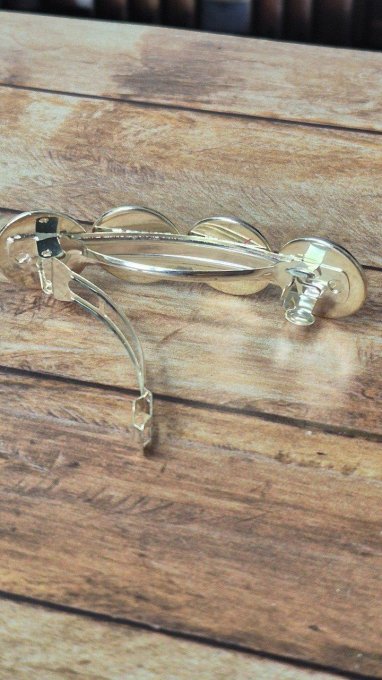 Barrette cheveux    