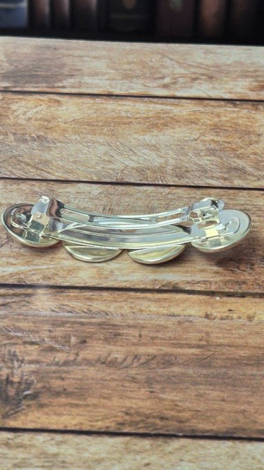 Barrette cheveux    