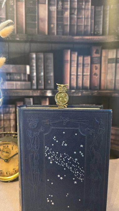 Un chouette marque page pour bouquin captivant  