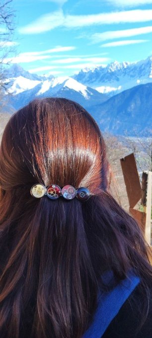 Barrette cheveux    